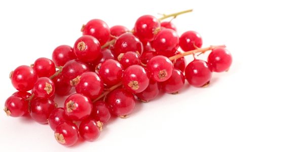 Röda vinbär till kaka